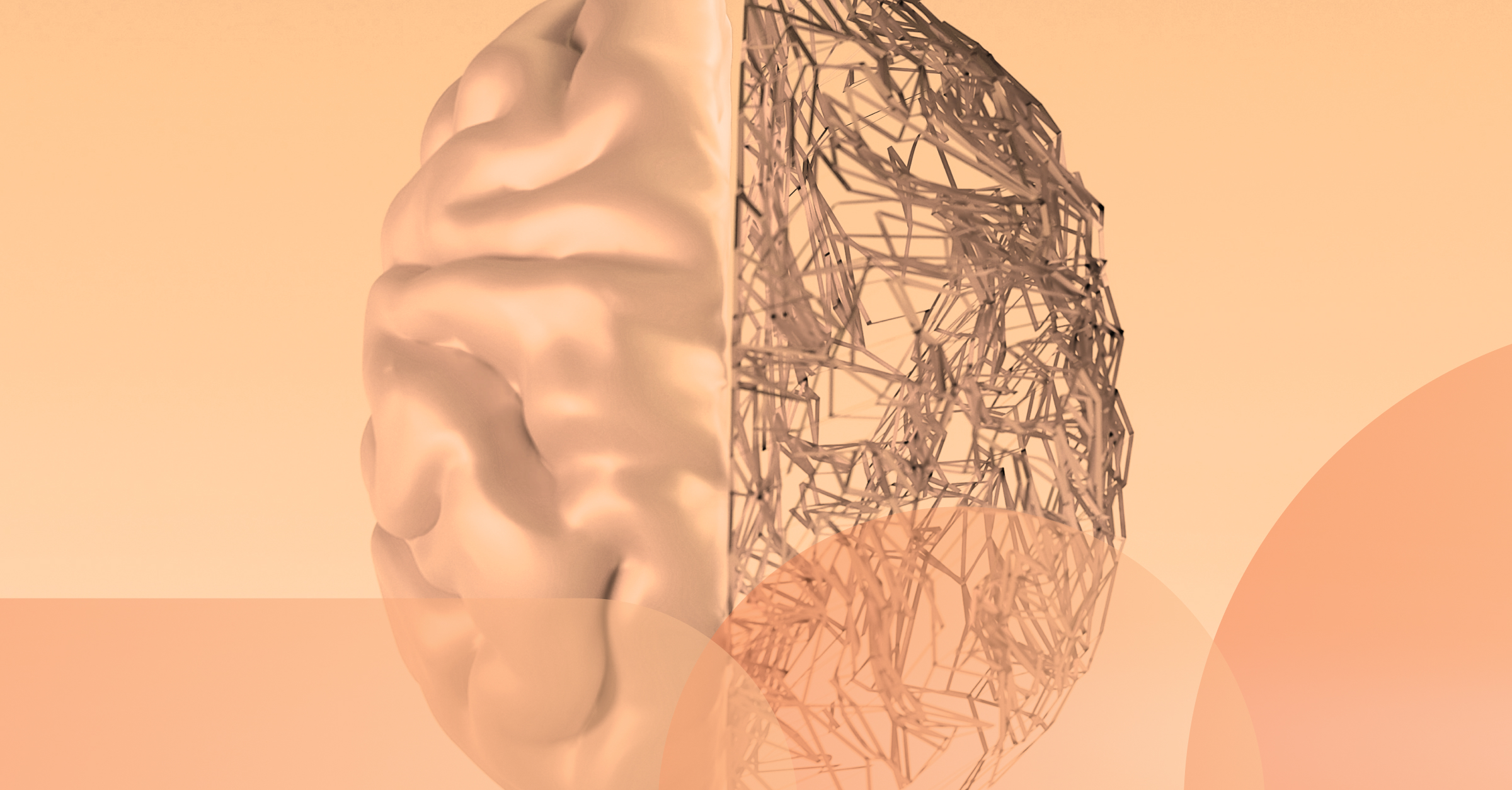 Human brain and AI brain