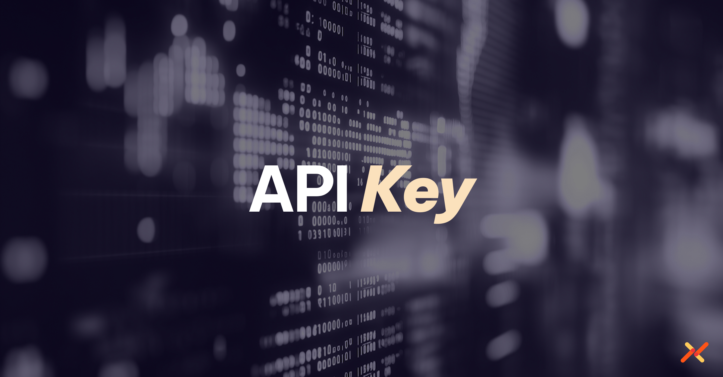 API Key