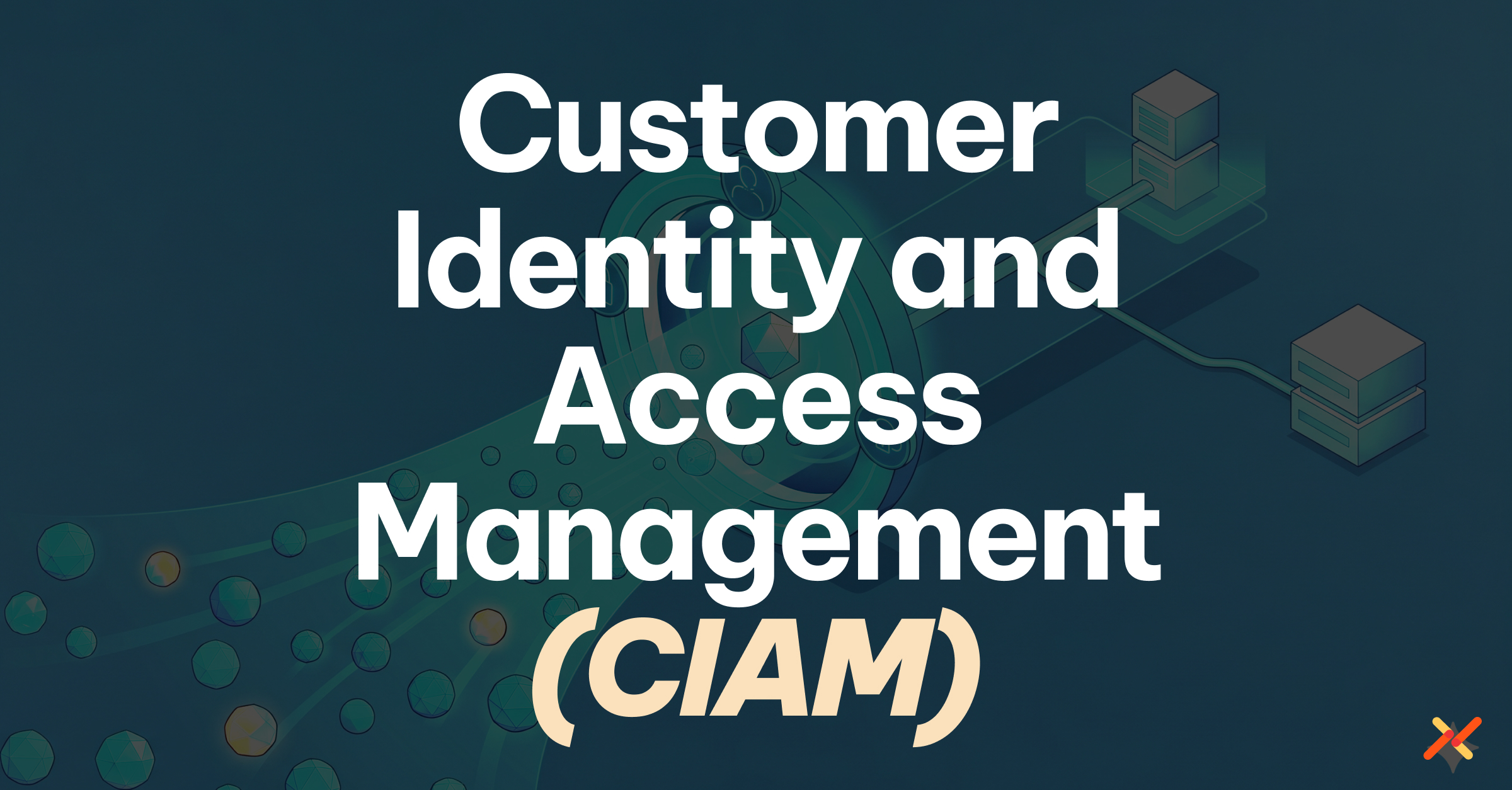 Customer Identity and Access Management (CIAM)