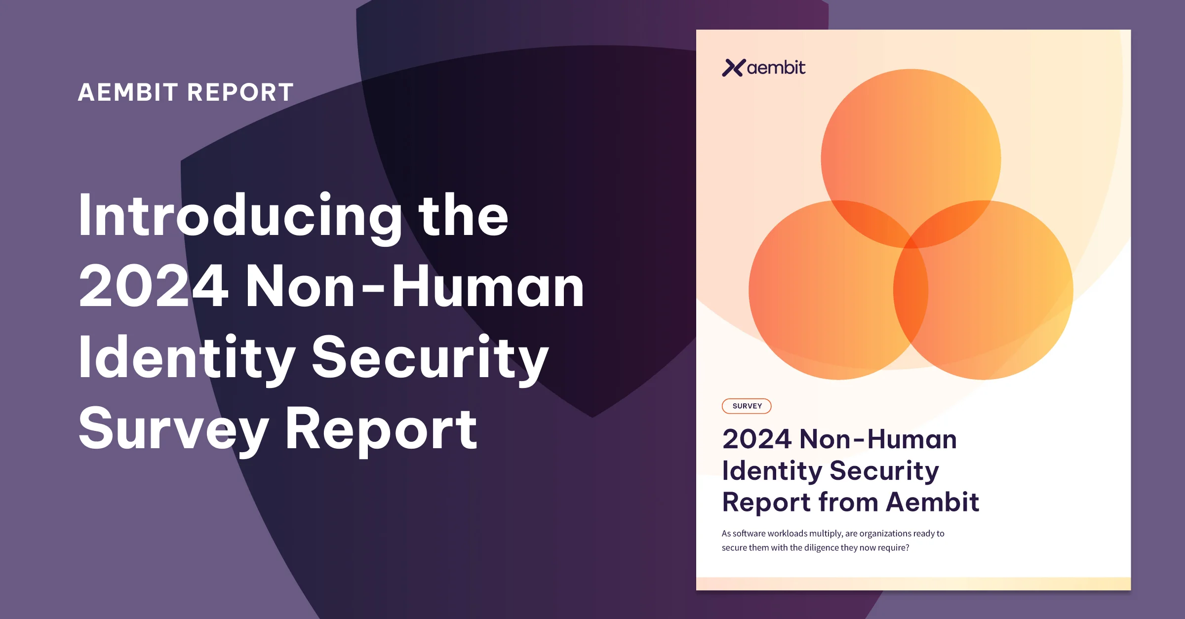 Aembit's 2024 Non-Human Identity Security Report
