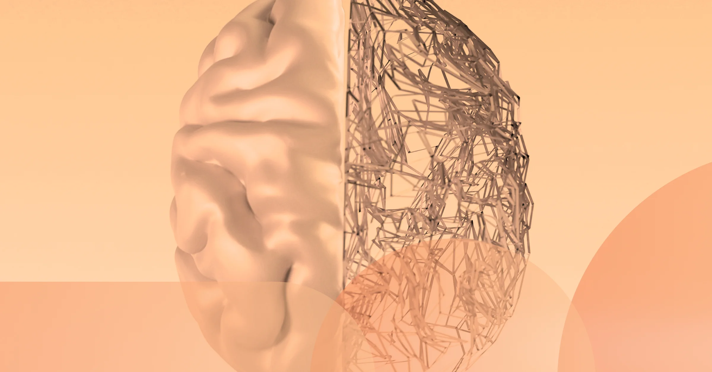 Human brain and AI brain
